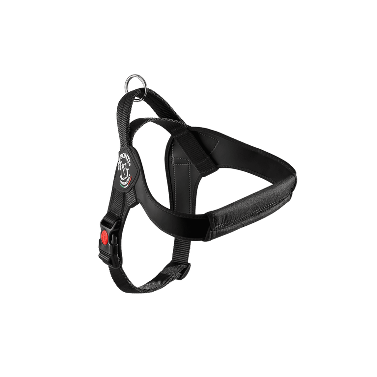 Brio harness for medium and large dogs with reflective trim | Tre